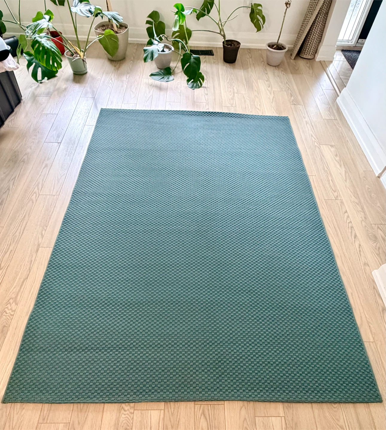 IKEA MORUM Rug - photo 4