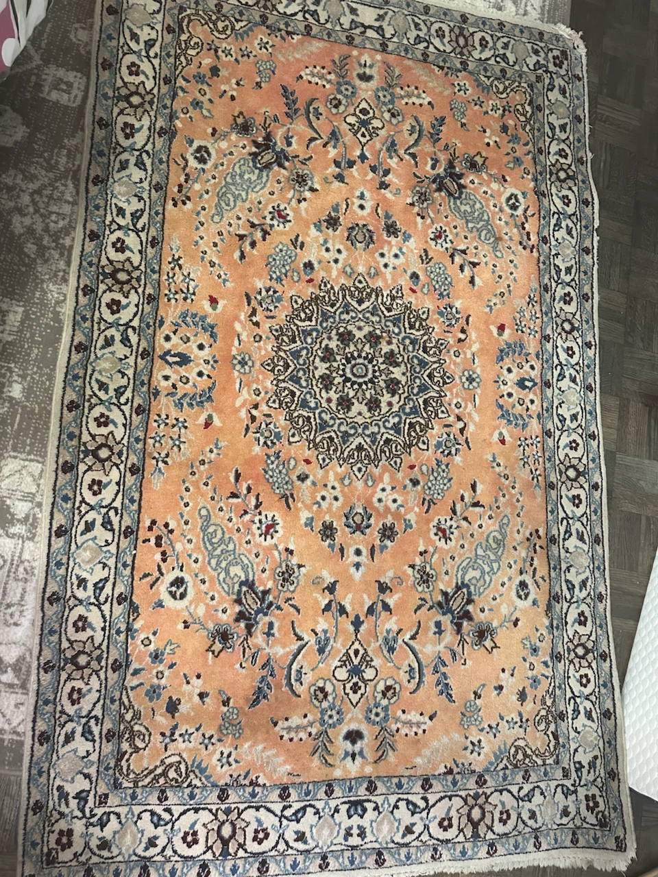 Persian Style Area Rug