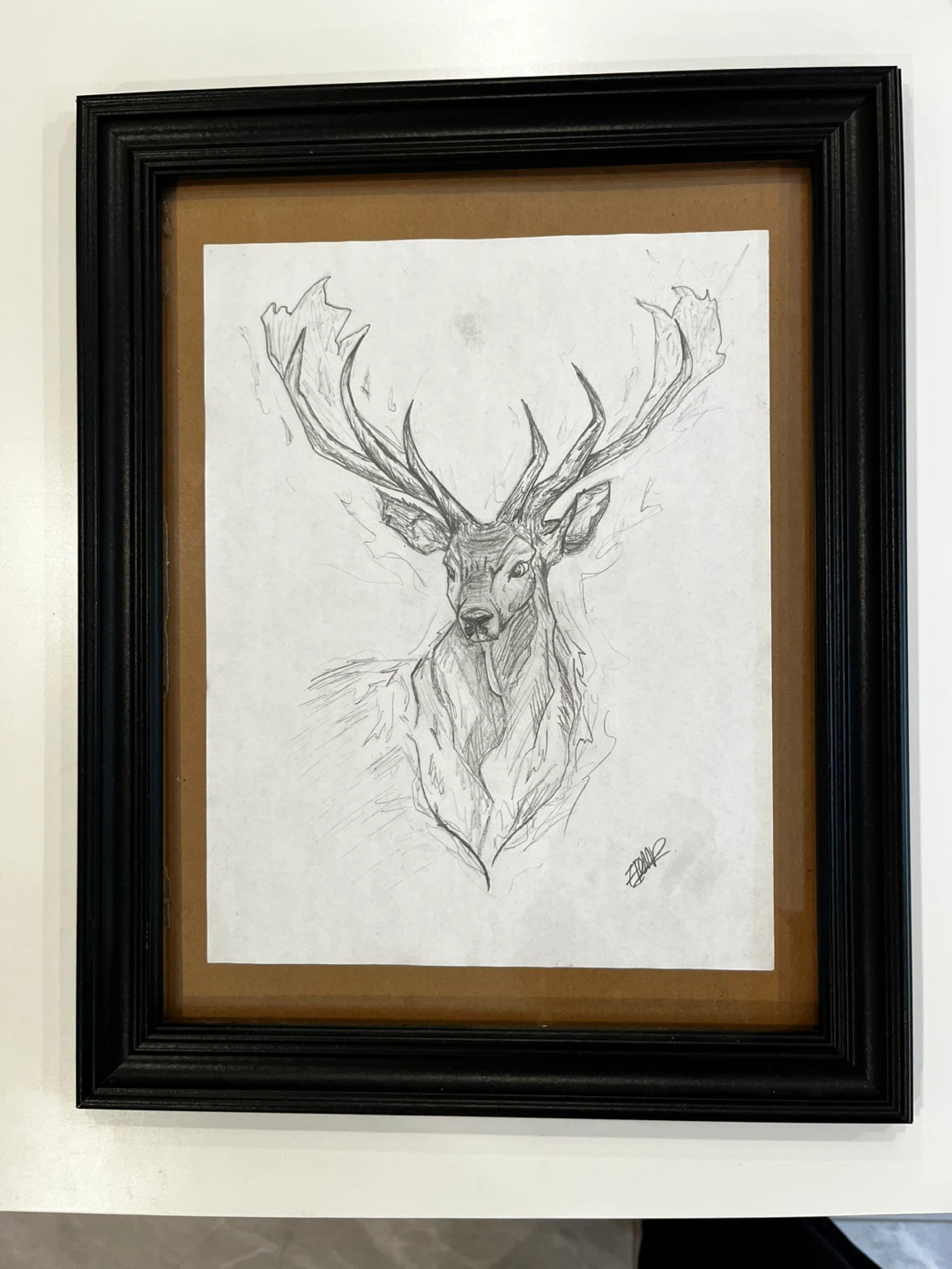 Pencil Sketch of a Stag in Black Frame