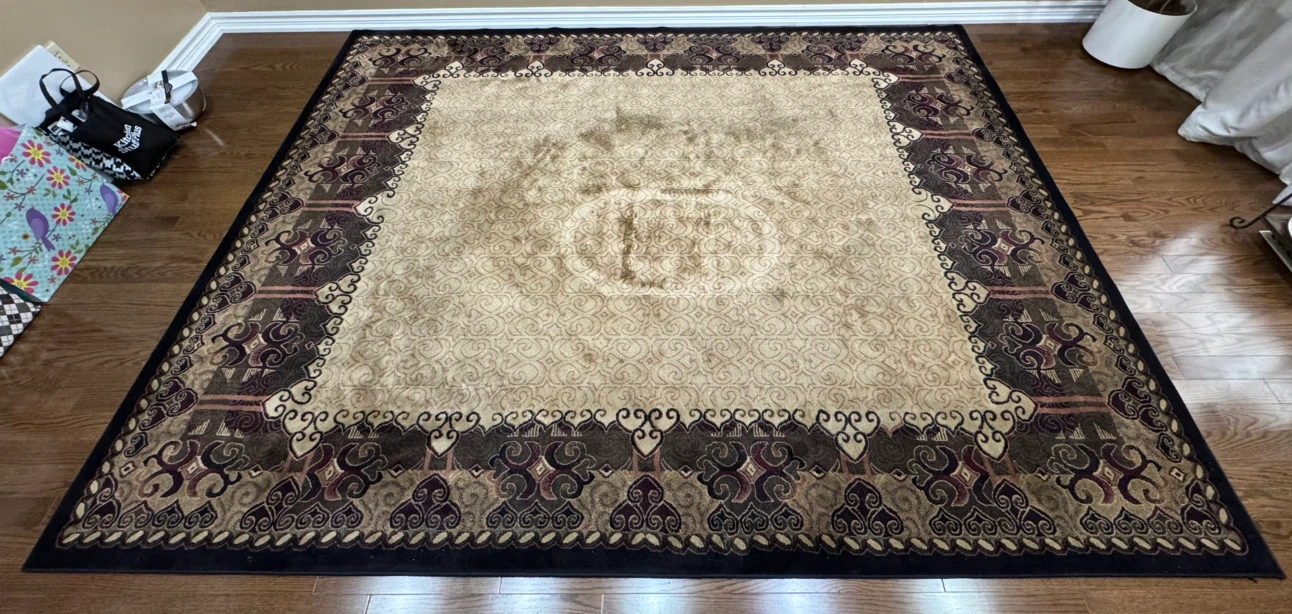 Area Rug - Traditional Design - photo 2