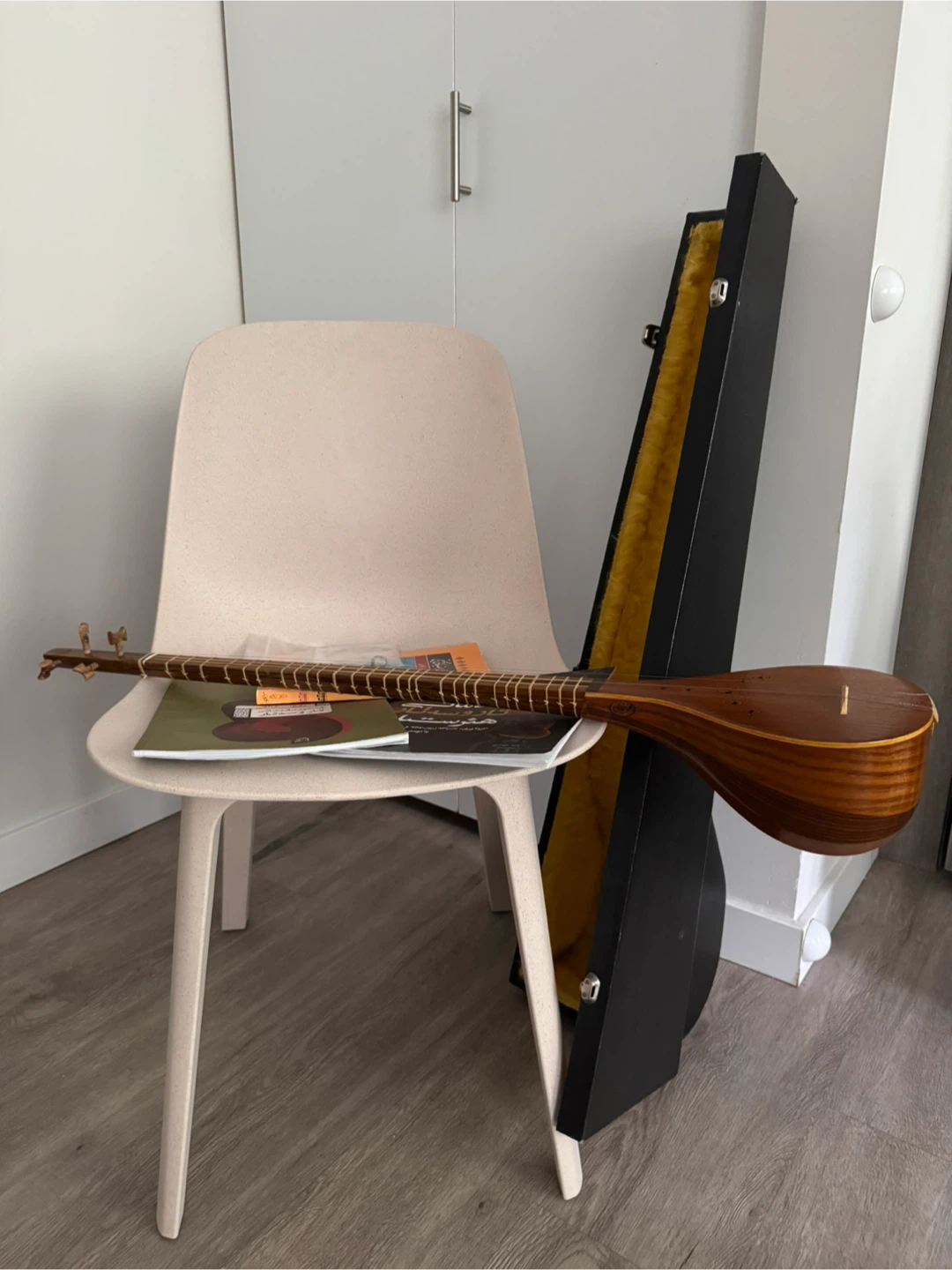 Wooden String Instrument with Case and Books