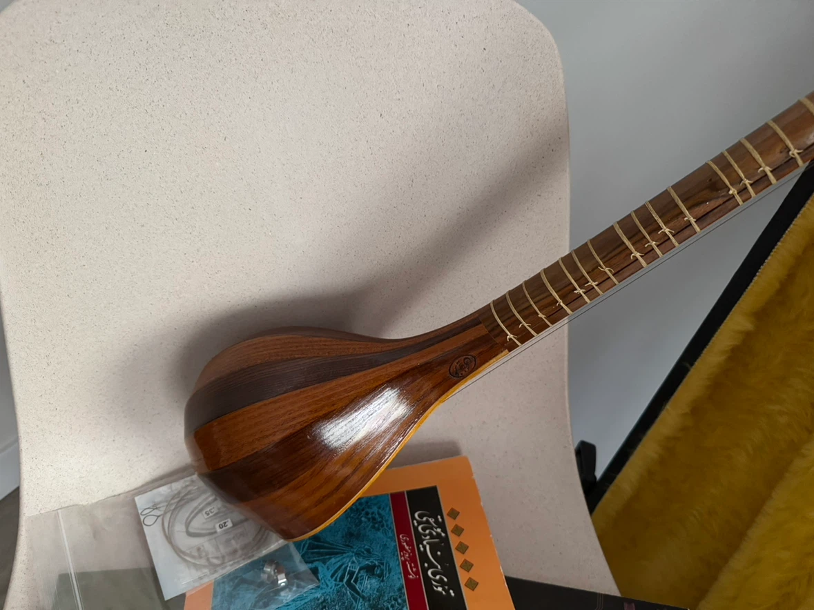 Wooden String Instrument with Case and Books - photo 2