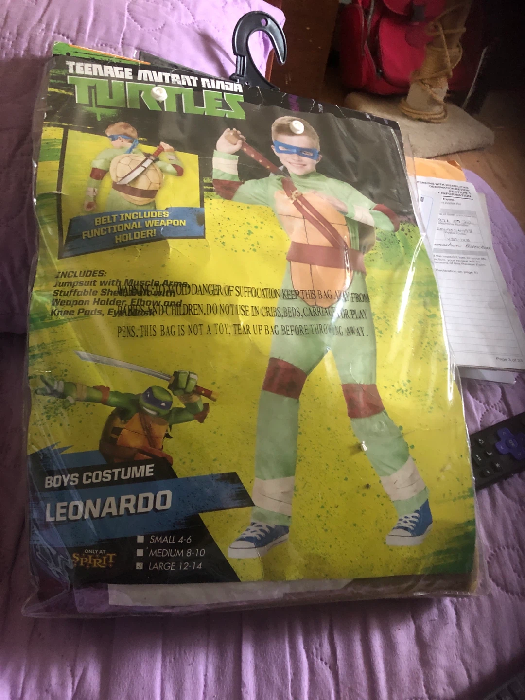 Teenage Mutant Ninja Turtles Leonardo Boys Costume