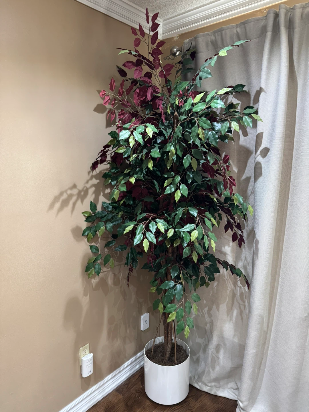 Artificial Ficus Tree in White Pot