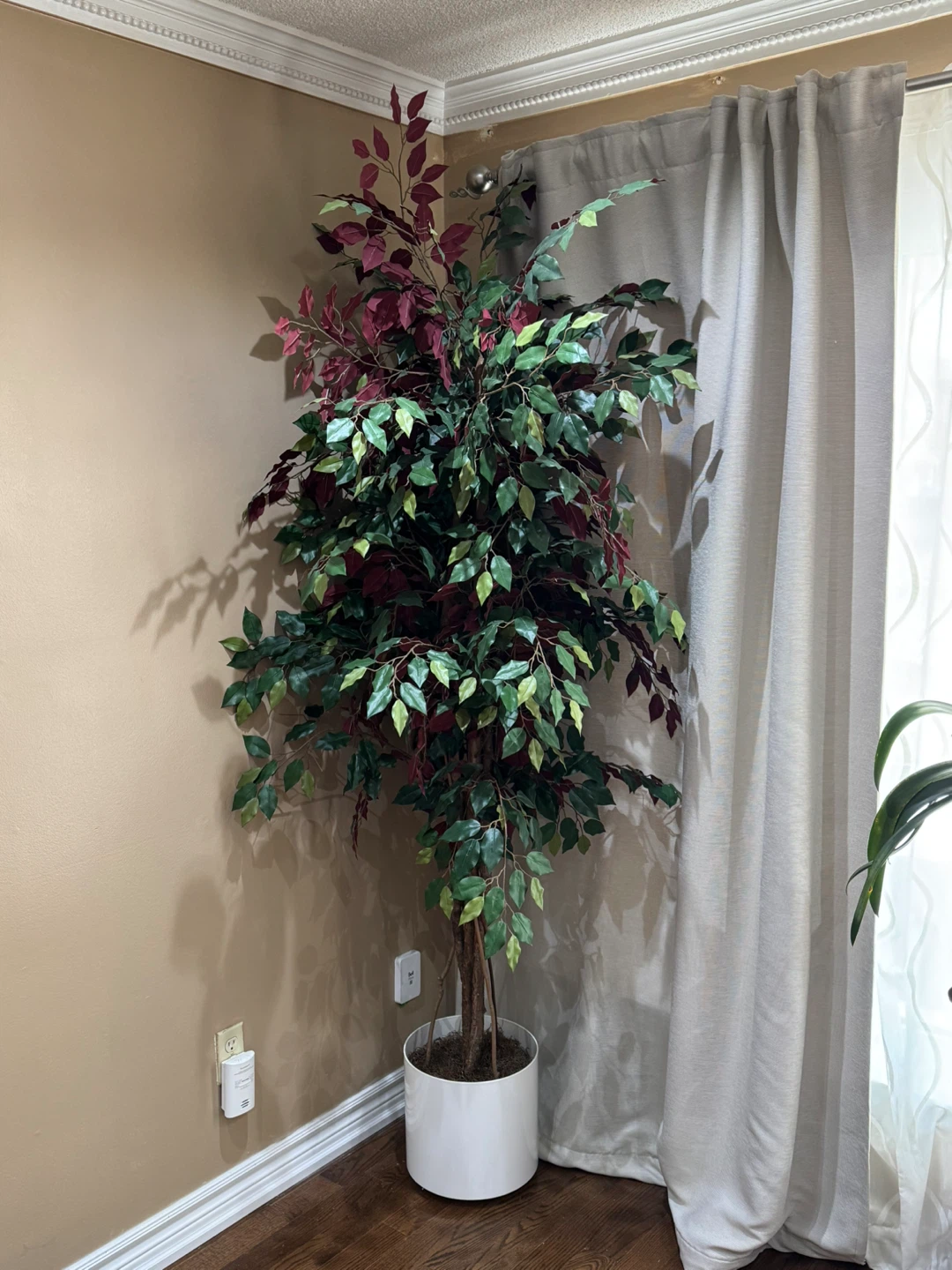 Artificial Ficus Tree in White Pot - photo 2