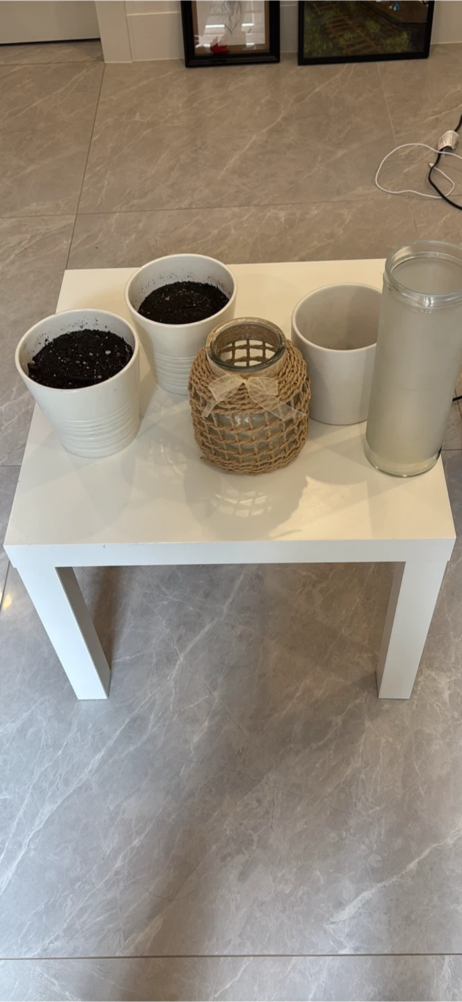 White Ceramic Plant Pots and Glass Vase Set