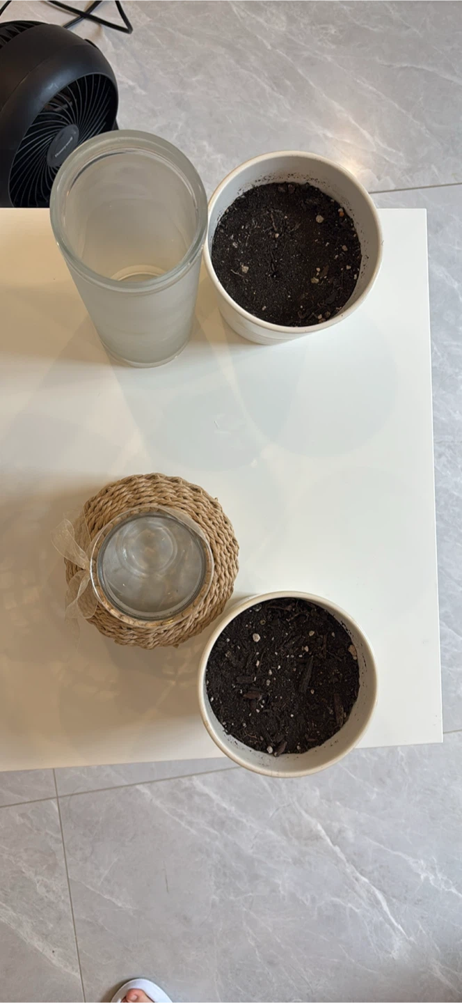White Ceramic Plant Pots and Glass Vase Set - photo 2