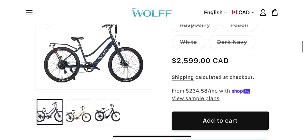 WOLFF Electric Bike - photo 3