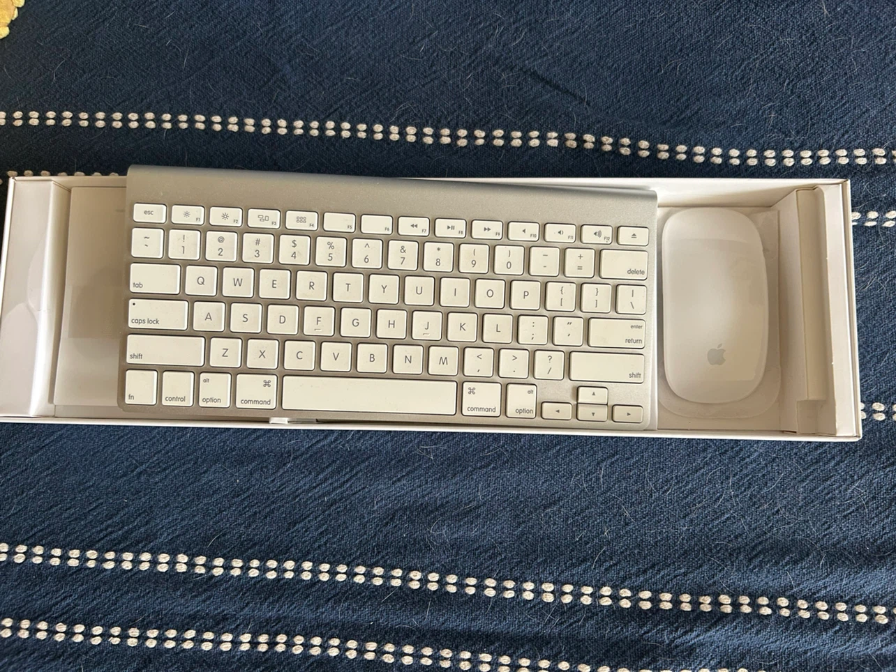 Apple Magic Keyboard and Magic Mouse