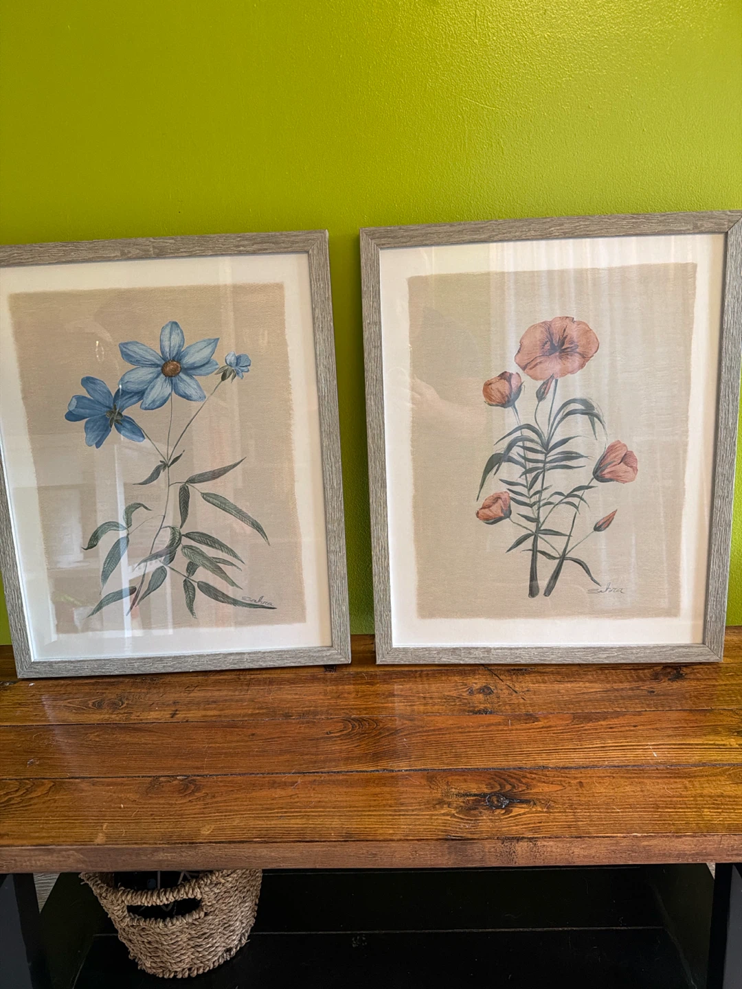 Set of 2 Framed Botanical Prints