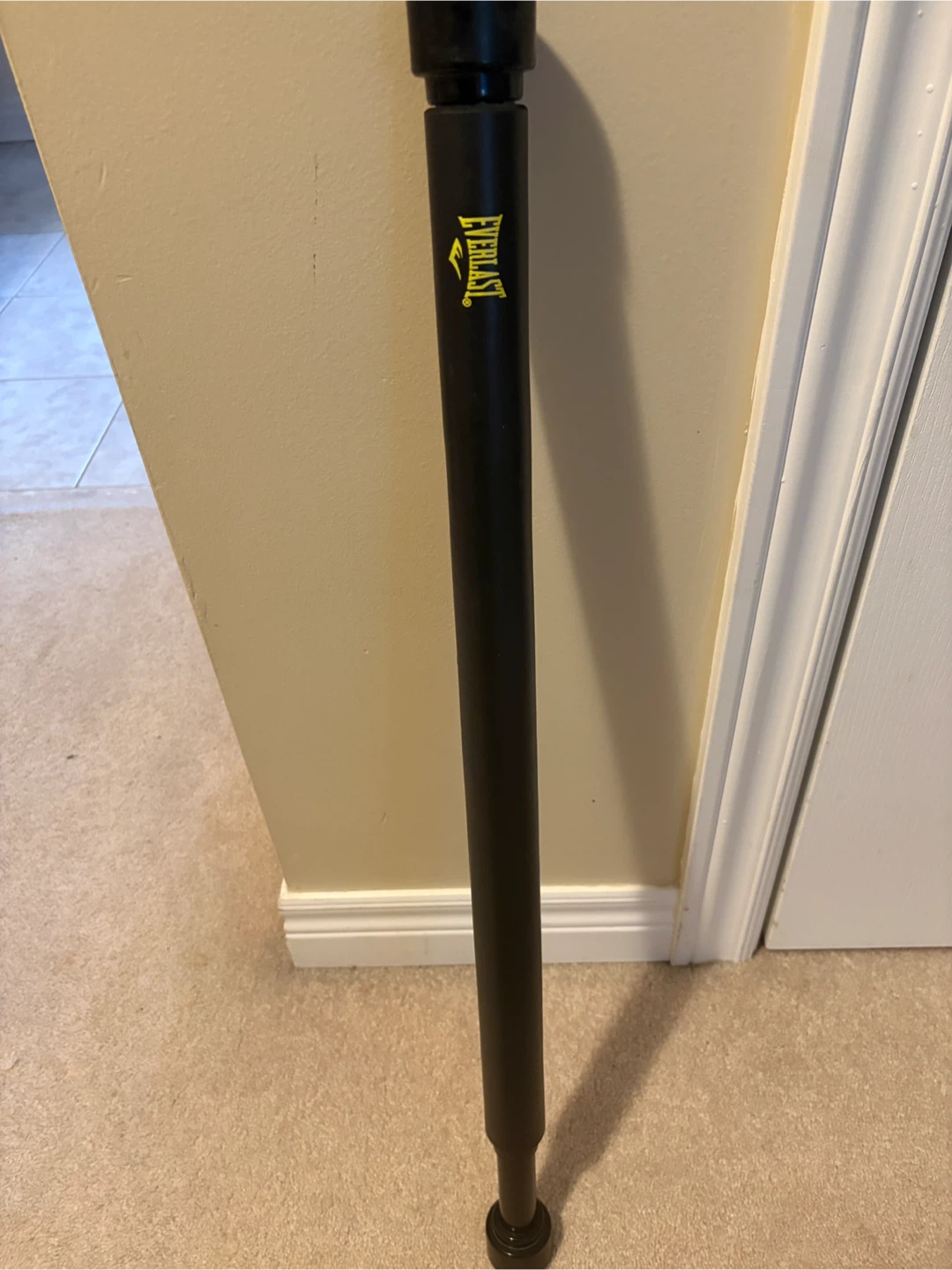 Everlast Chin & Sit-Up Bar