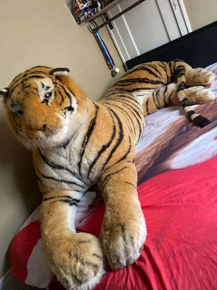 Large Plush Tiger Animal and a large bed and I got it for 400$