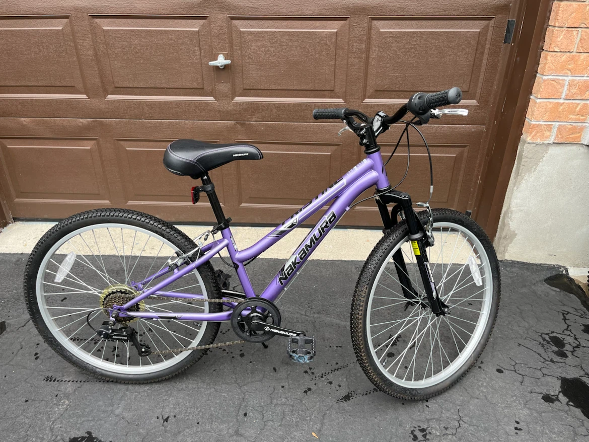 Nakamura Purple Mountain Bike