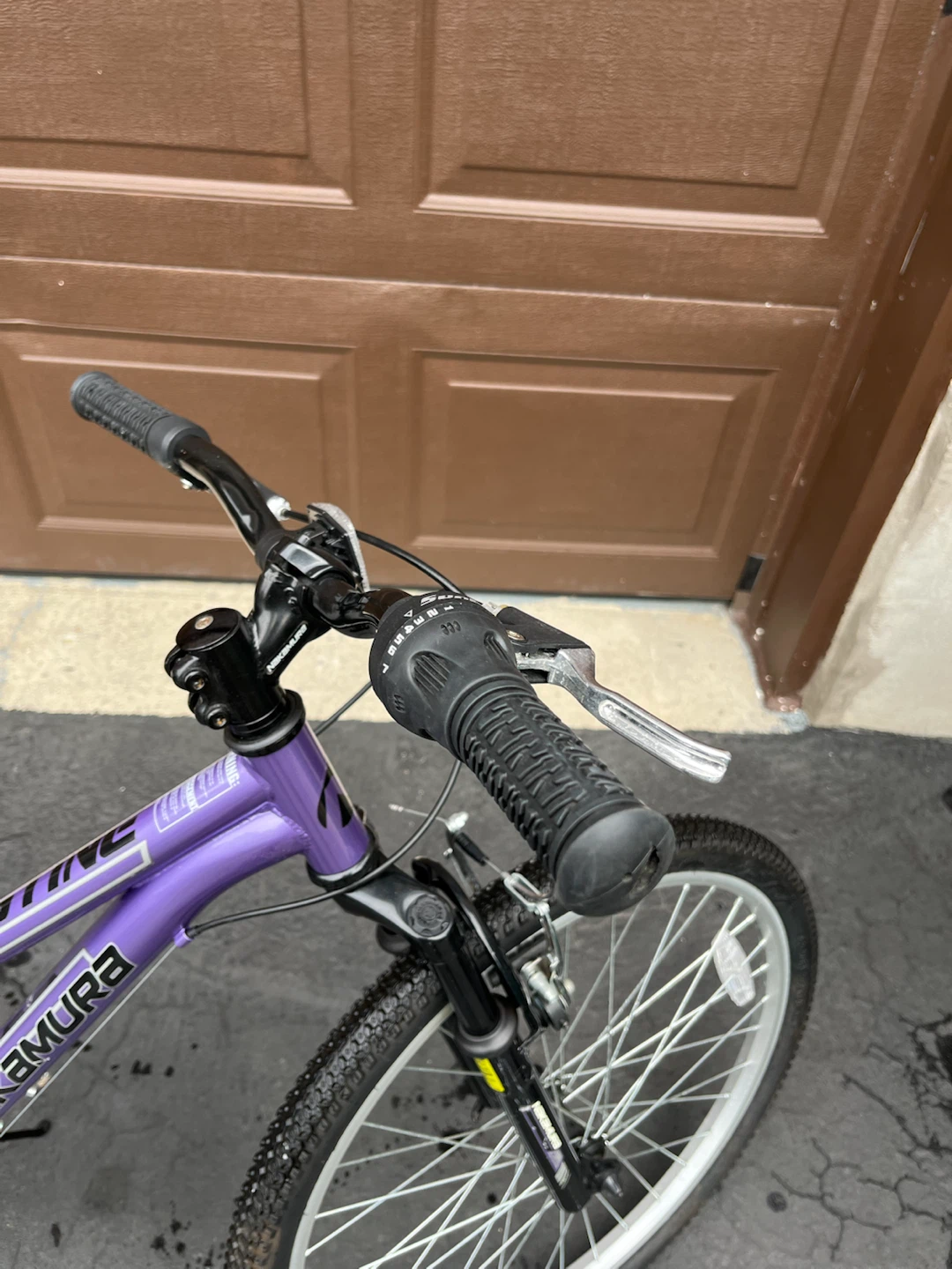 Nakamura Purple Mountain Bike - photo 5