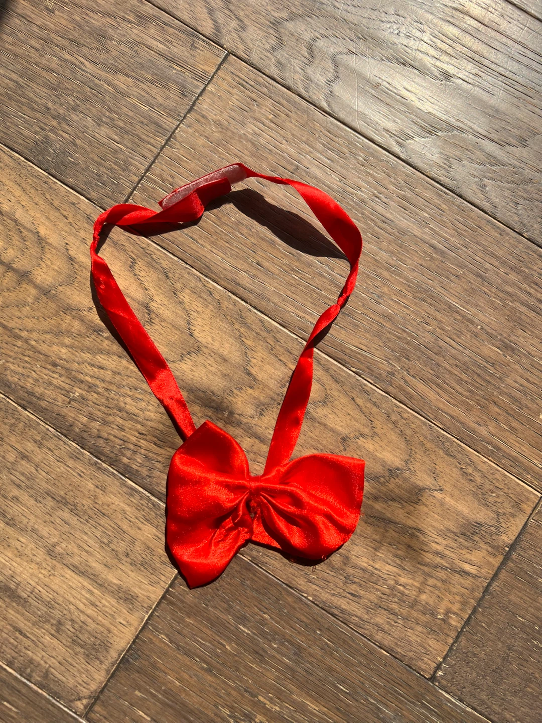 Snow White Costume - photo 5