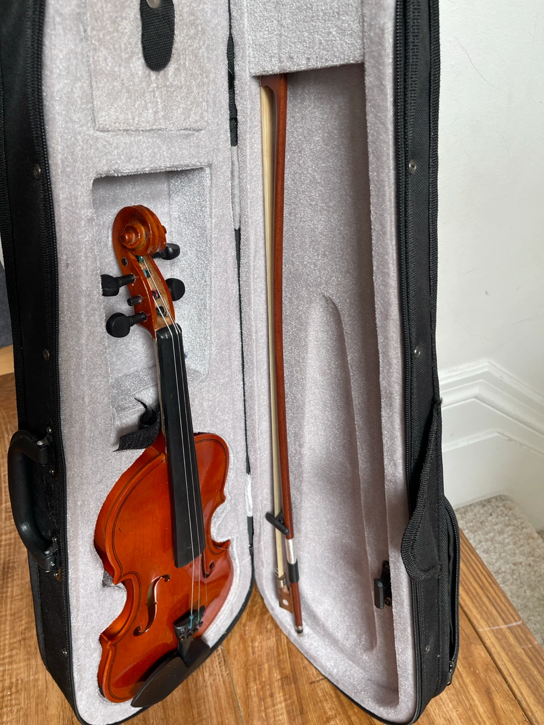 Violin with Case and Bow
