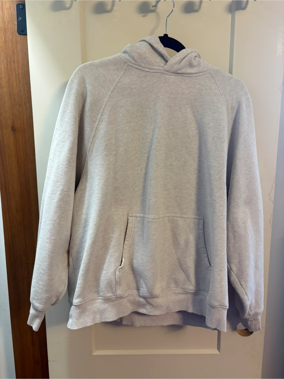 ARITZIA SWEATFLEECE Cozy Fleece Hoodie