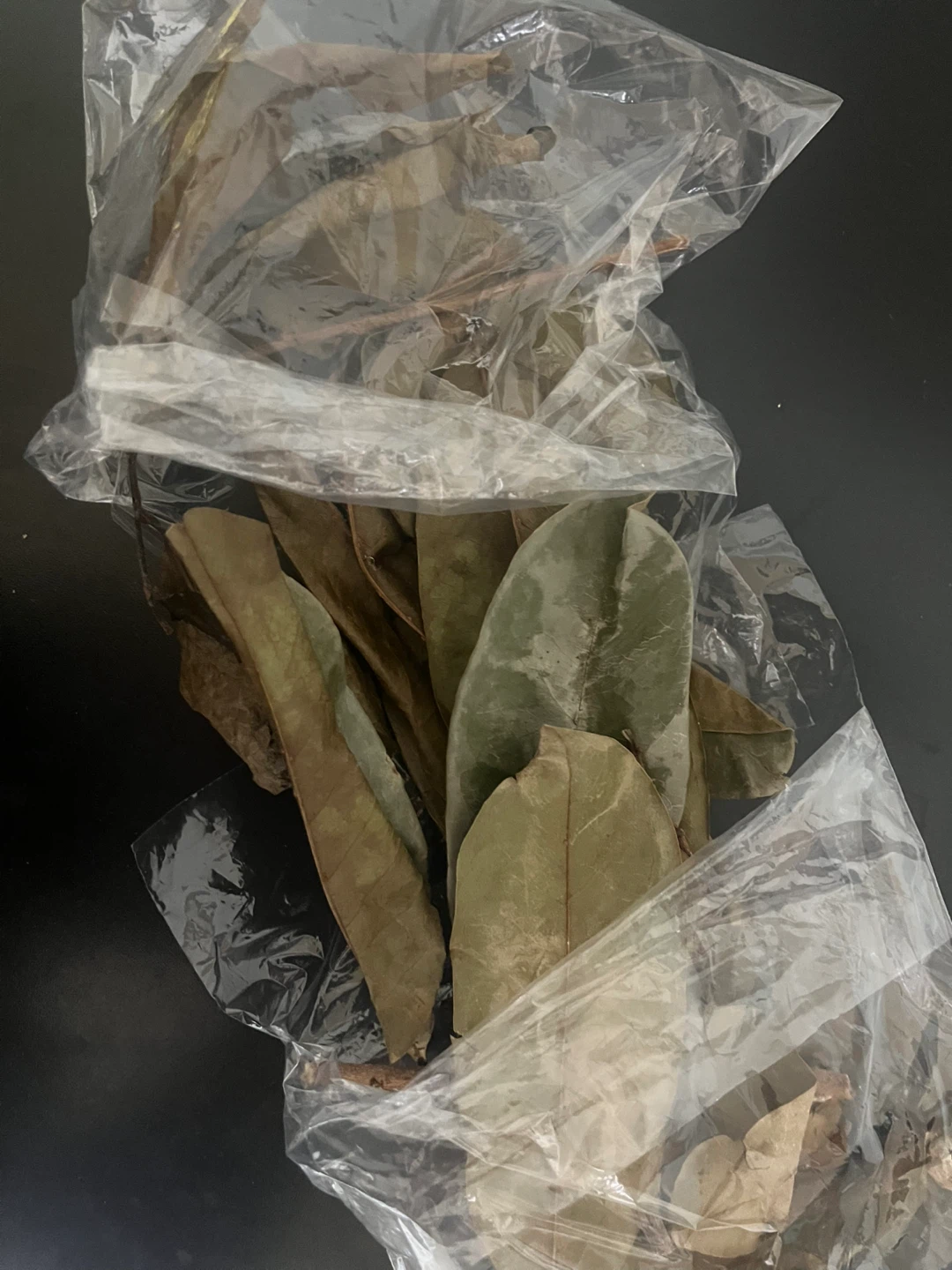 Dried soursop leaves 🌿