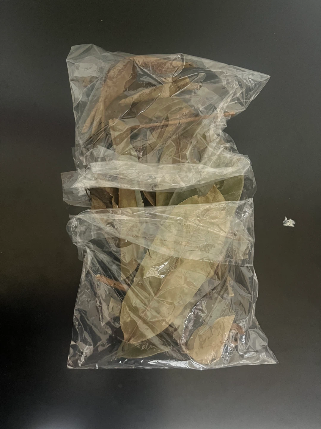 Dried soursop leaves 🌿 - photo 2