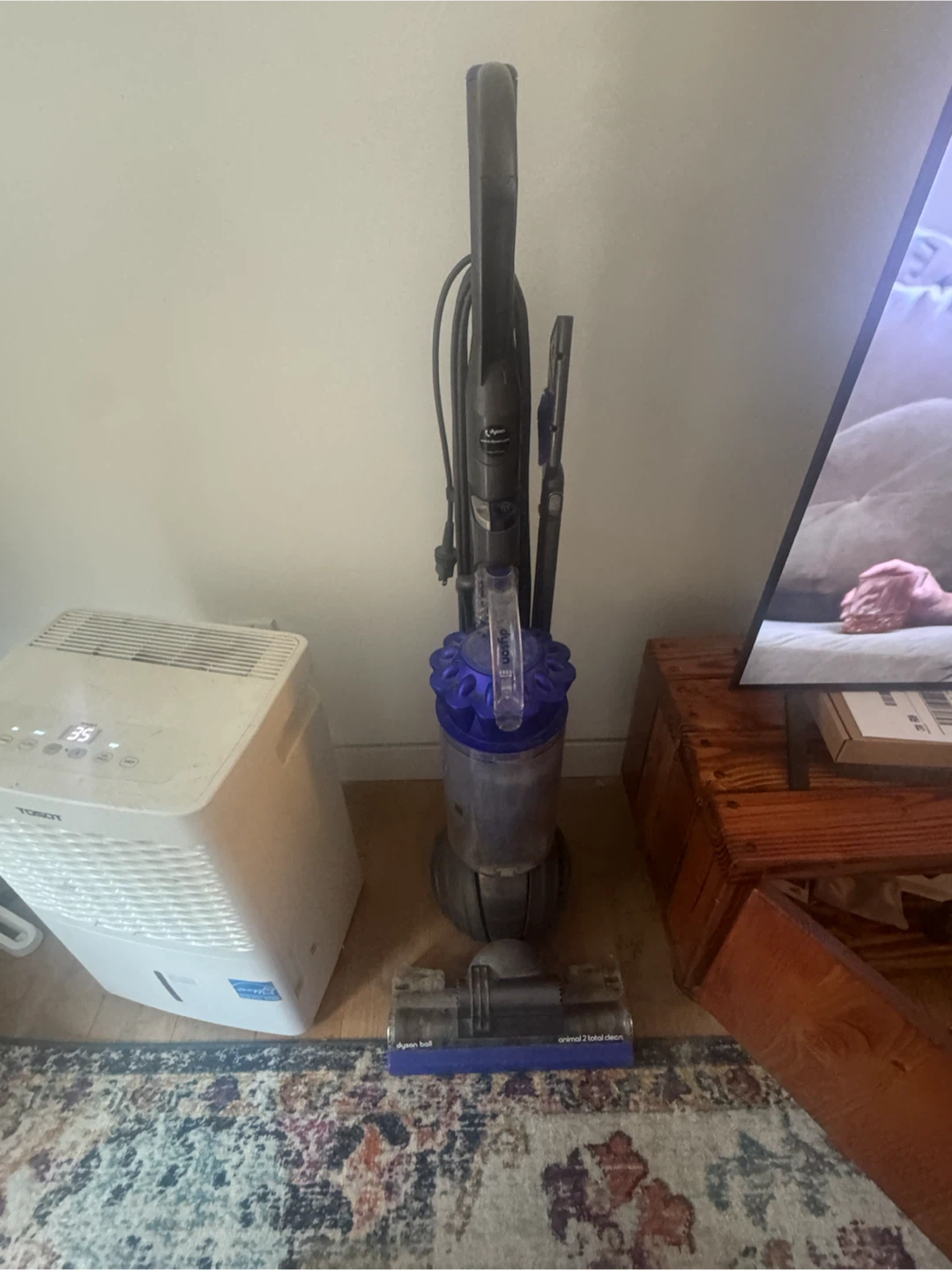 Dyson Ball Animal 2 Total Clean Vacuum