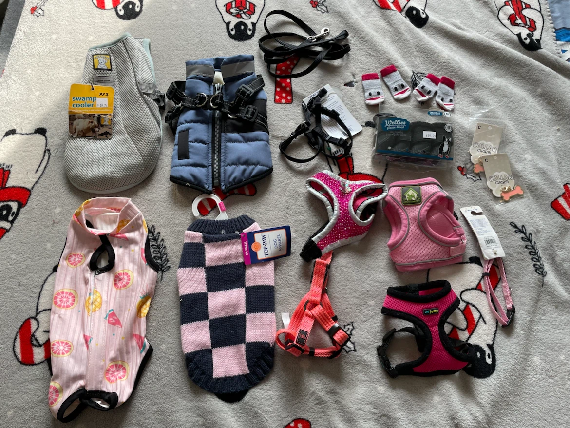XXS Dog (5lbs) Clothes, Harnesses, Etc Lot