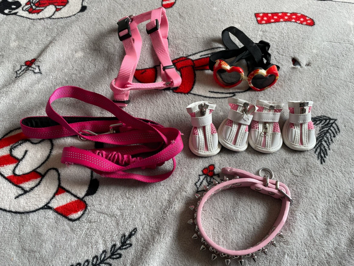 Small Dog Harness, Leash, Boots, Etc Lot