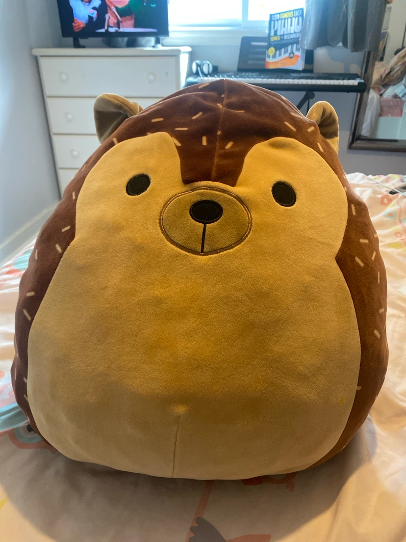Squishmallow Hedgehog Plush Toy