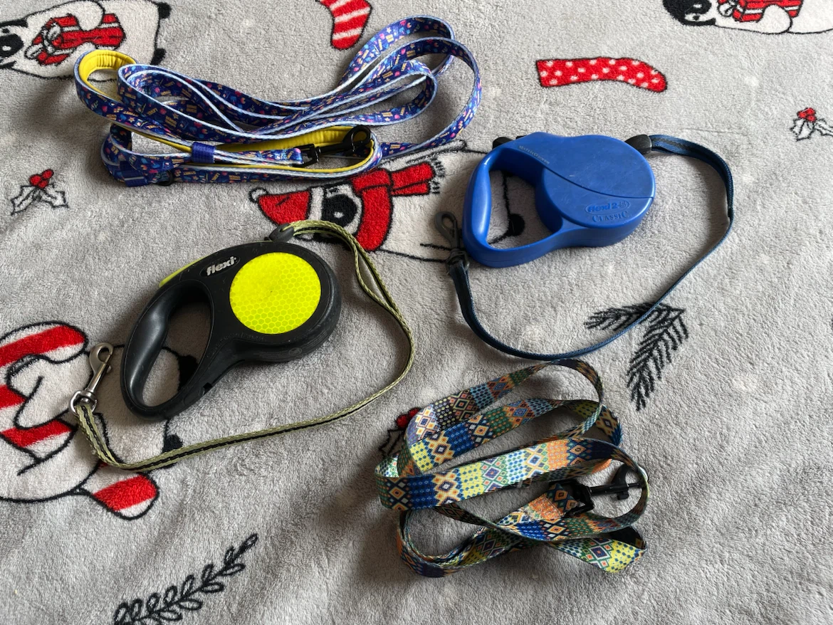 Small Dog Leashes Lot