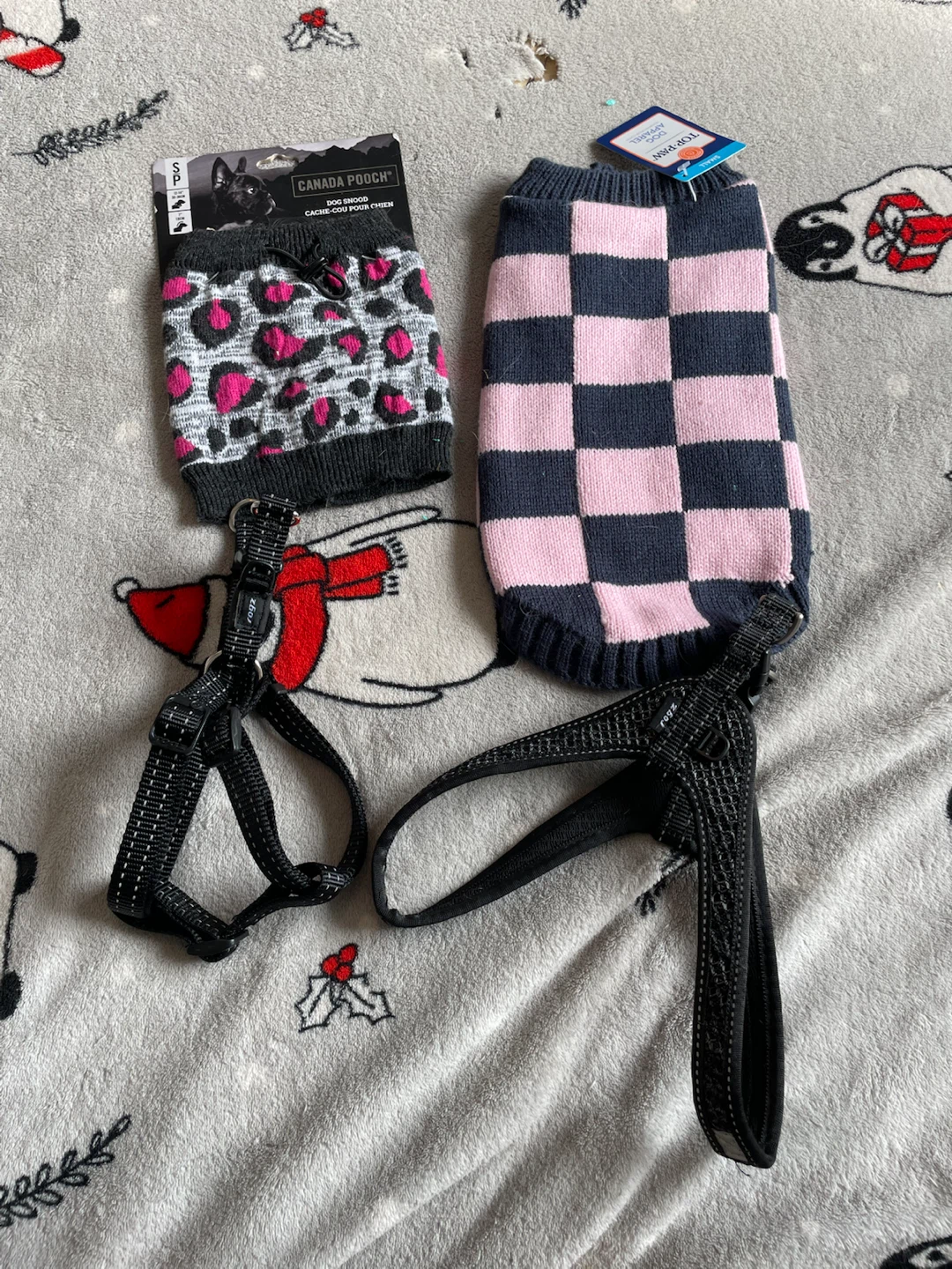 Small Dog Sweater & Harnesses Set-Never Used