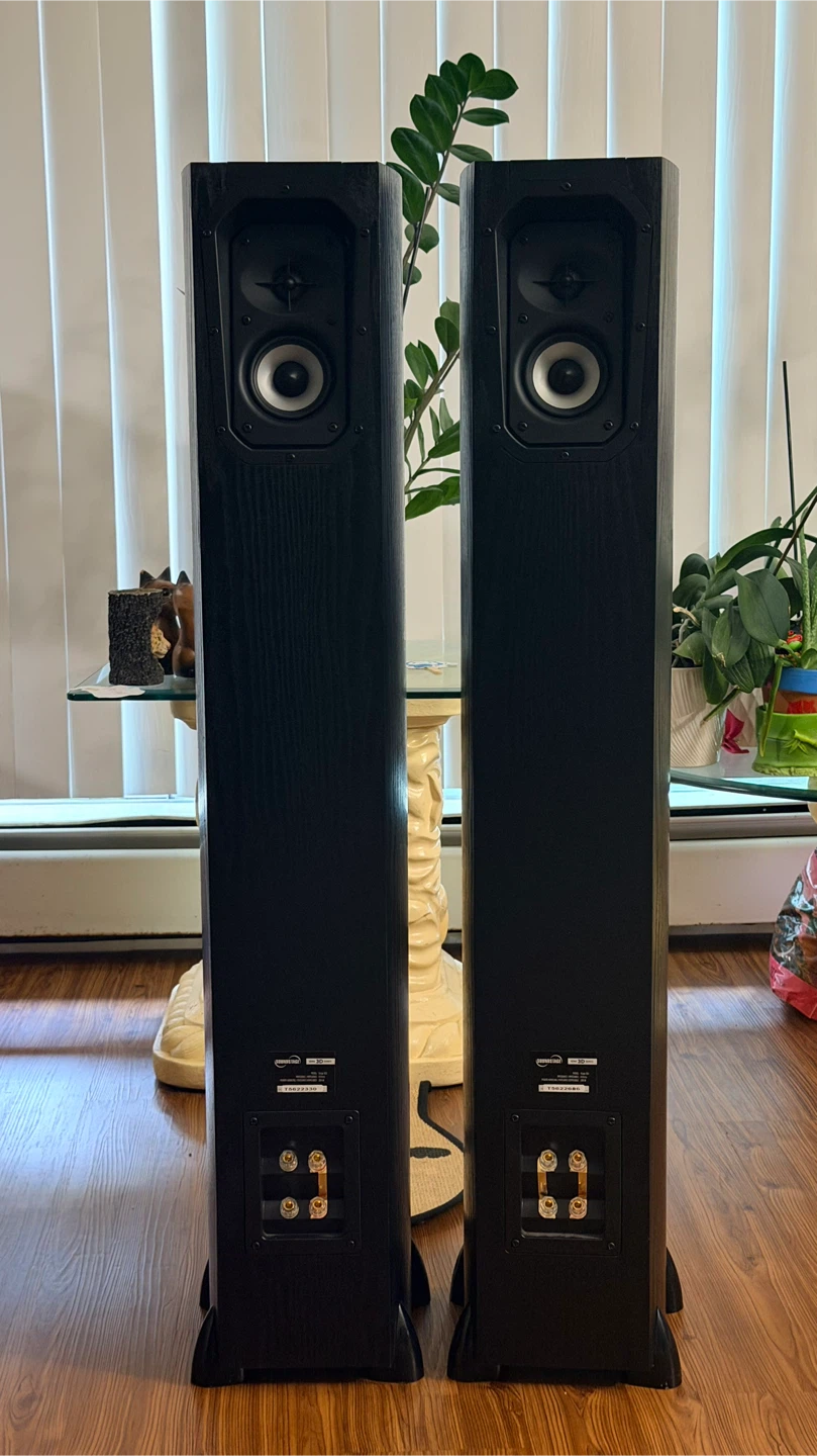 Soundstage Stage 3D5 Floorstanding Speakers - photo 4