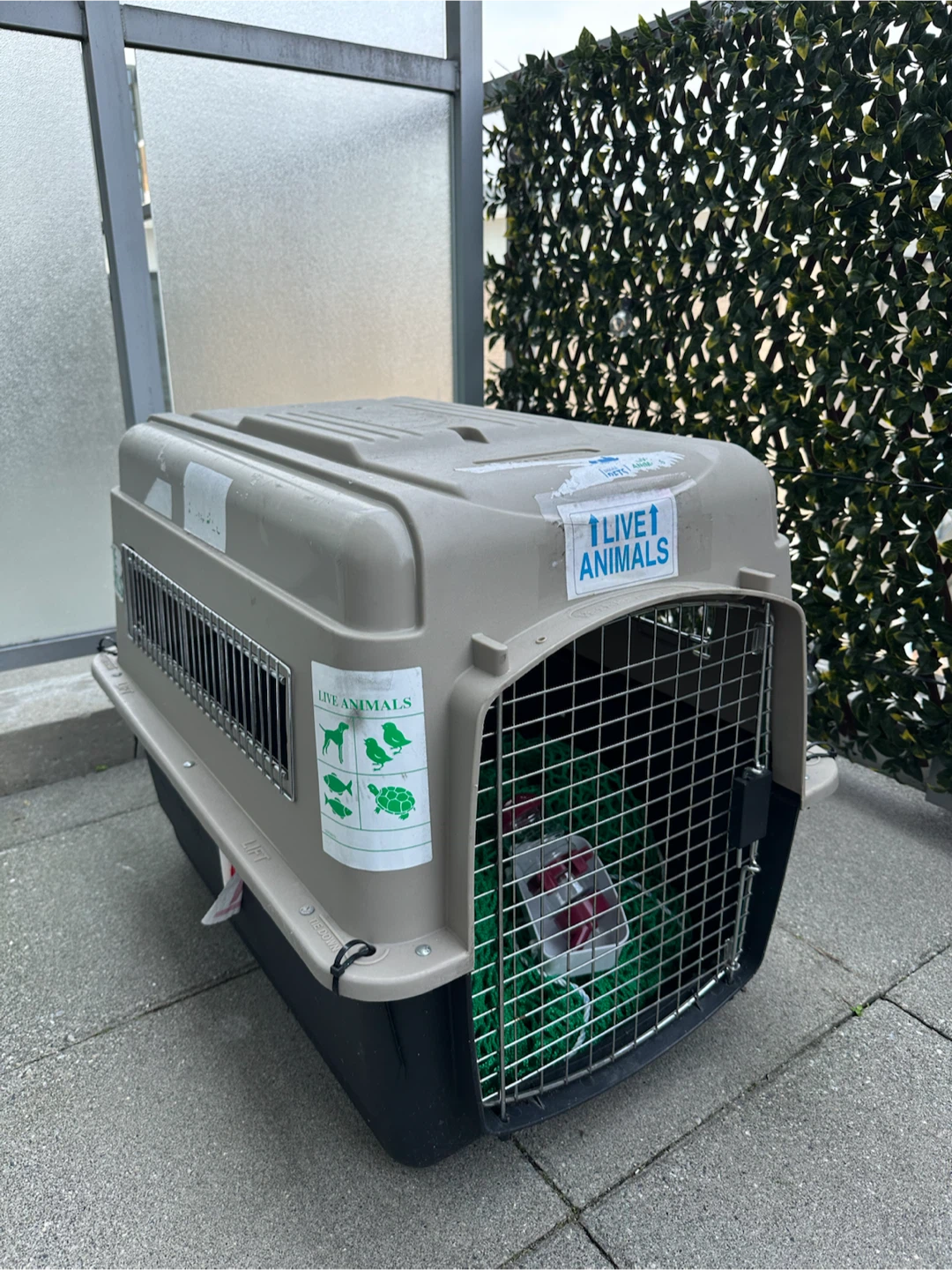 Pet Carrier for Travel