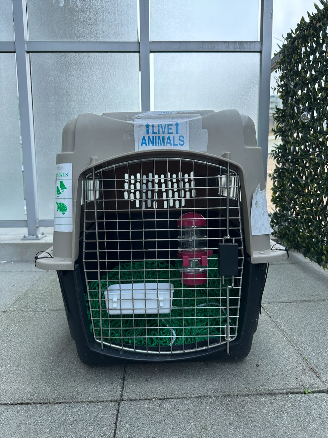 Pet Carrier for Travel - photo 3