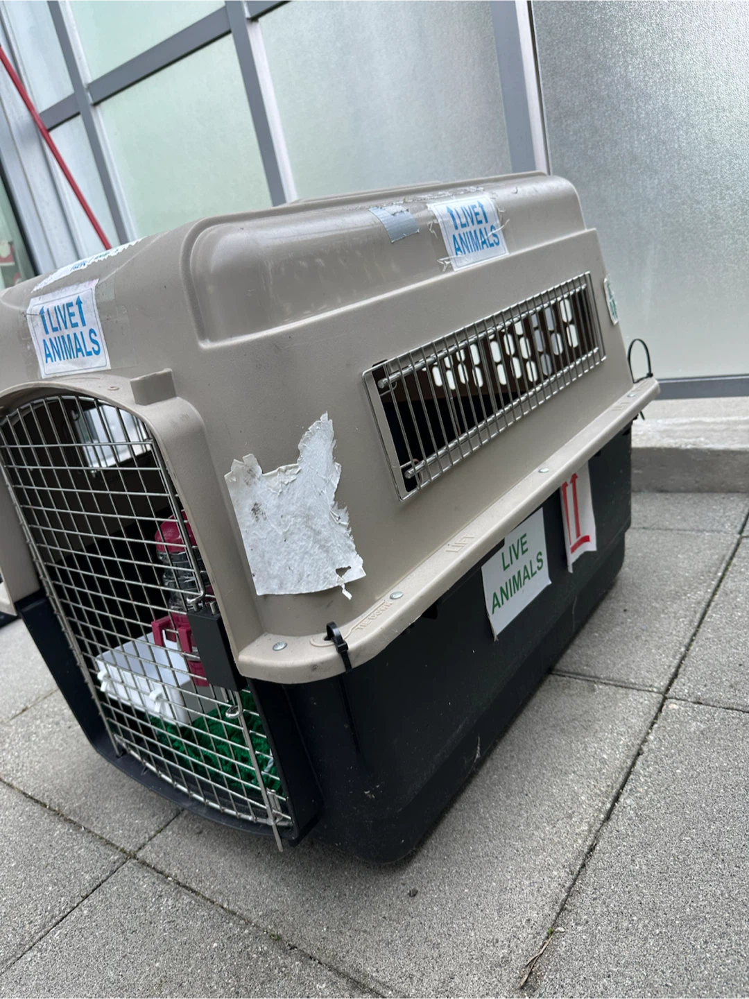 Pet Carrier for Travel - photo 4