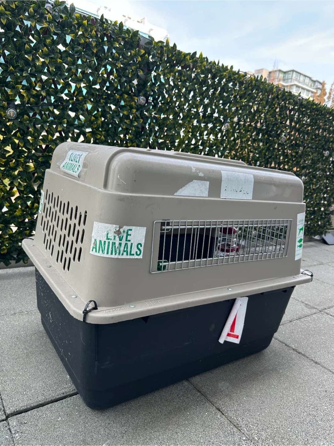 Pet Carrier for Travel - photo 5