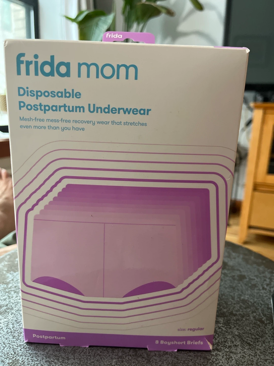 Frida Mom Disposable Postpartum Underwear - Regular Size