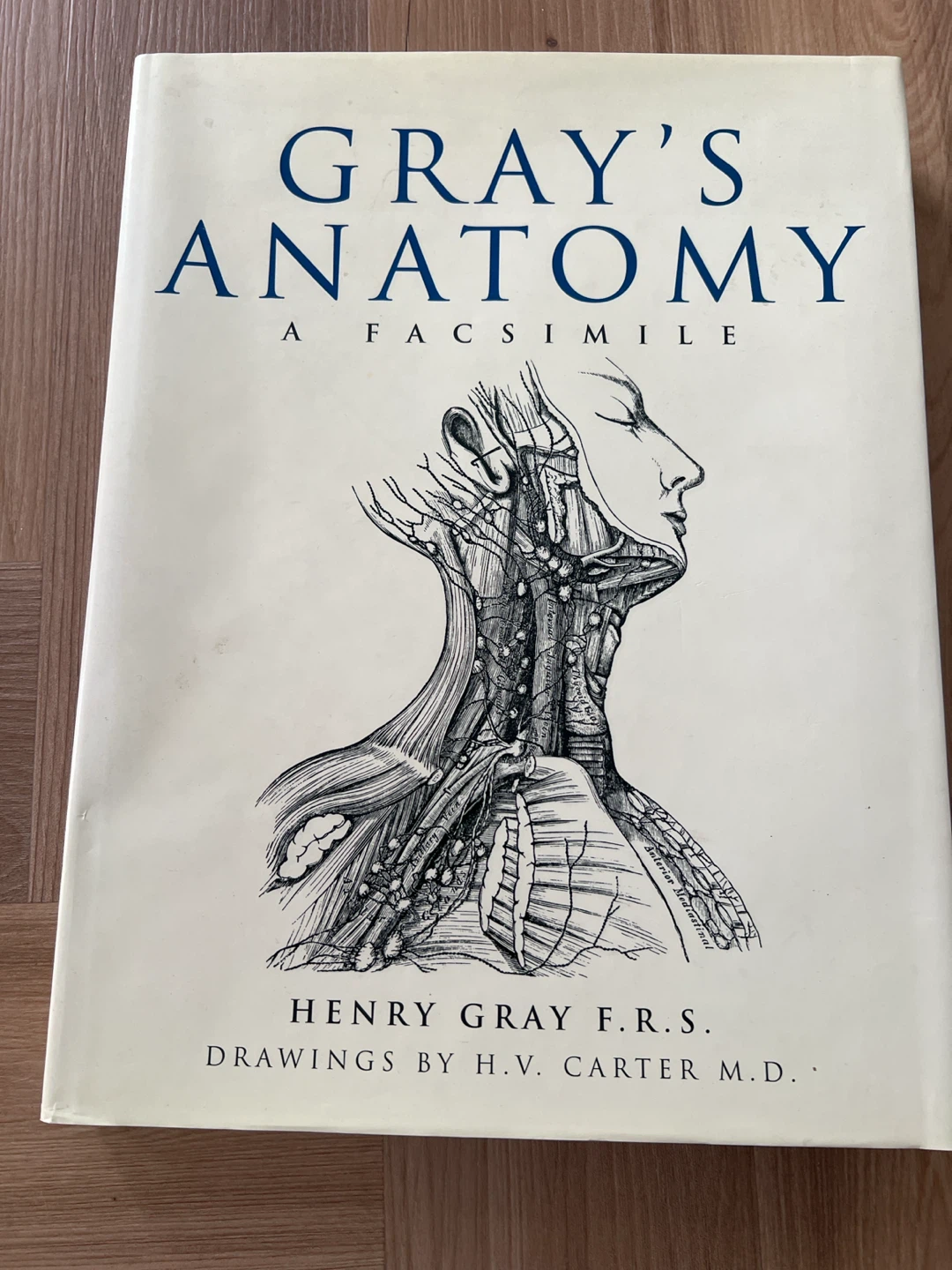 Gray's Anatomy: A Facsimile