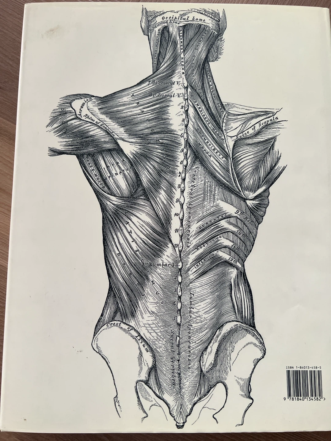 Gray's Anatomy: A Facsimile - photo 3