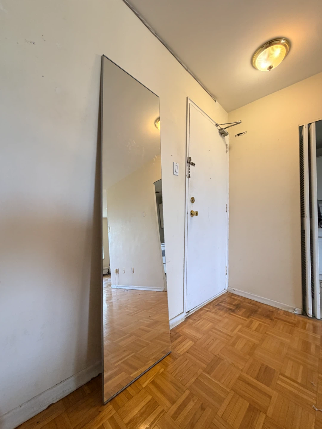 Full-length Mirror with Silver Frame - photo 3