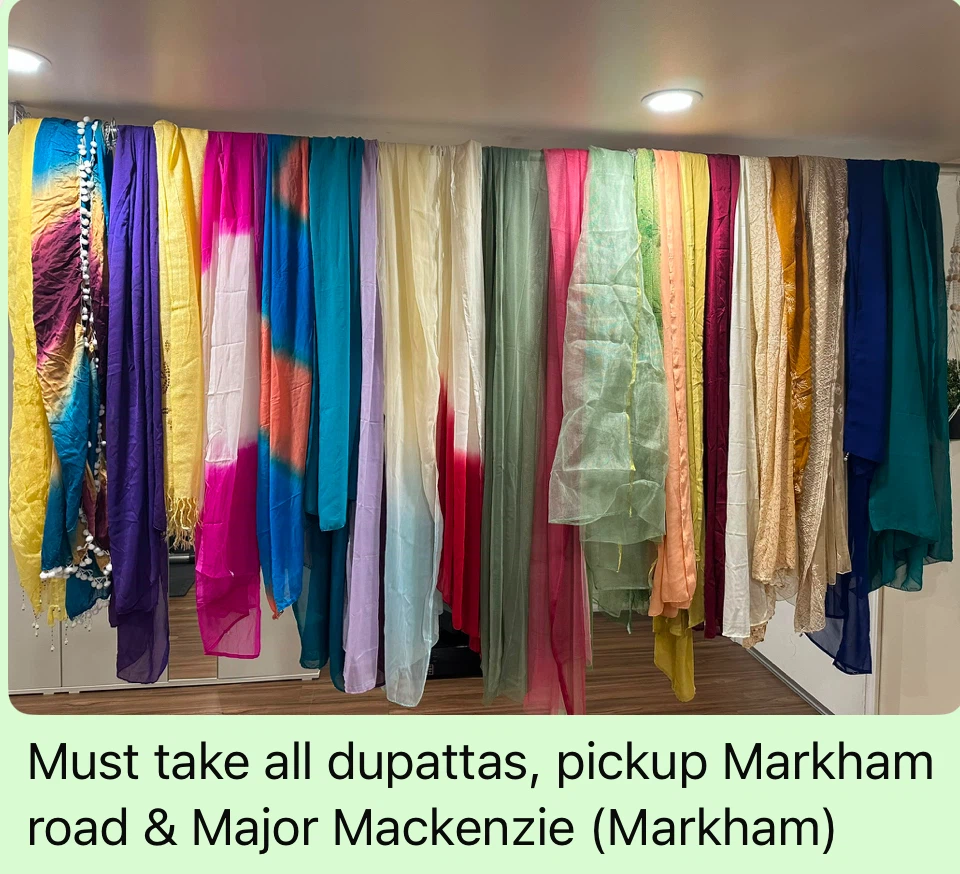 Assorted Dupattas Bundle