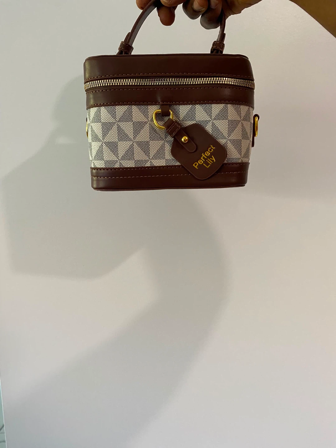 Perfect Lily Vanity Bag