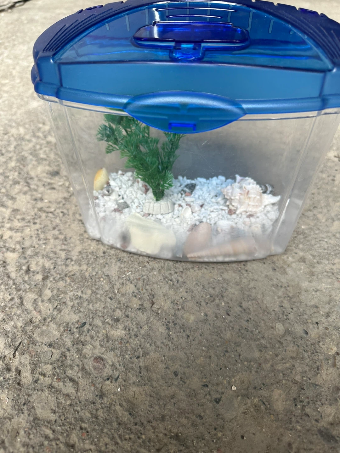 Small blue plastic fish tank - photo 2