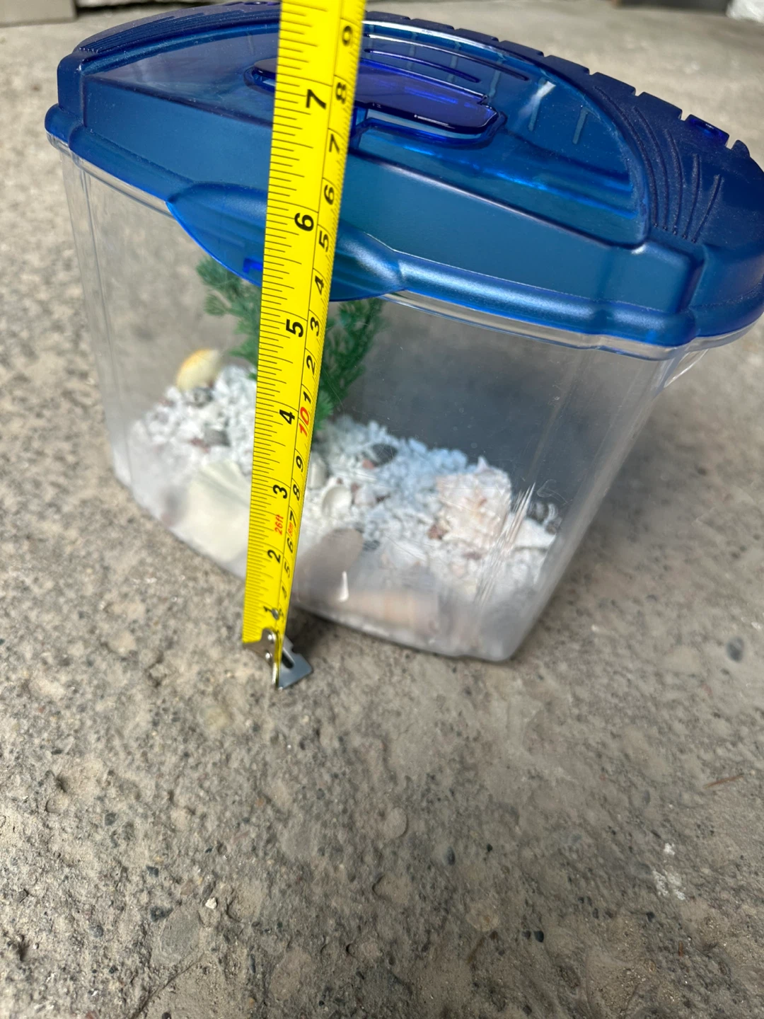 Small blue plastic fish tank - photo 4