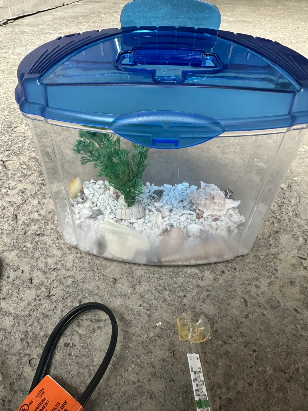 Small blue plastic fish tank