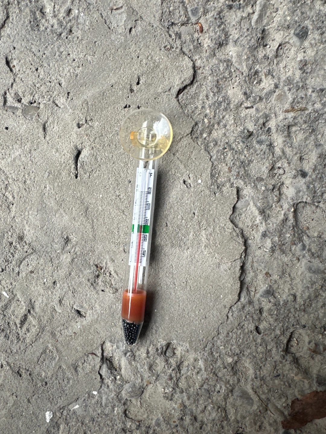 Fish tank Glass Thermometer
