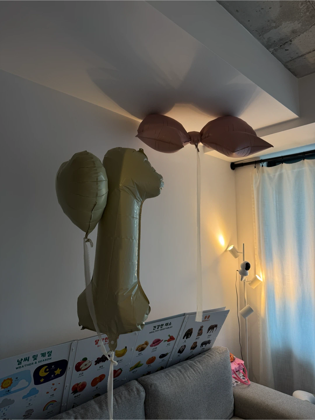 Butterfly, Bow, and Phallic Shaped Foil Balloons