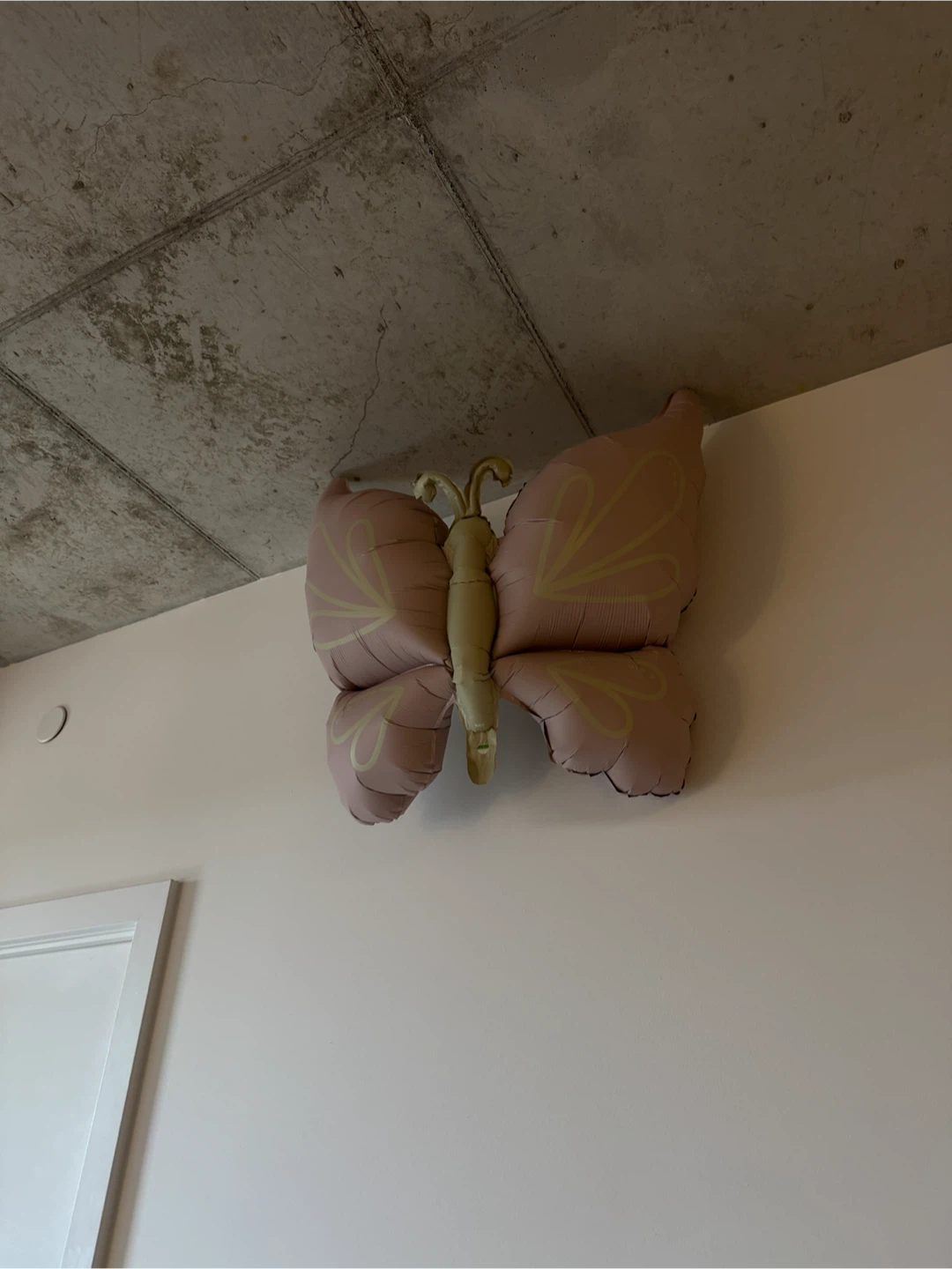 Butterfly, Bow, and Phallic Shaped Foil Balloons - photo 3