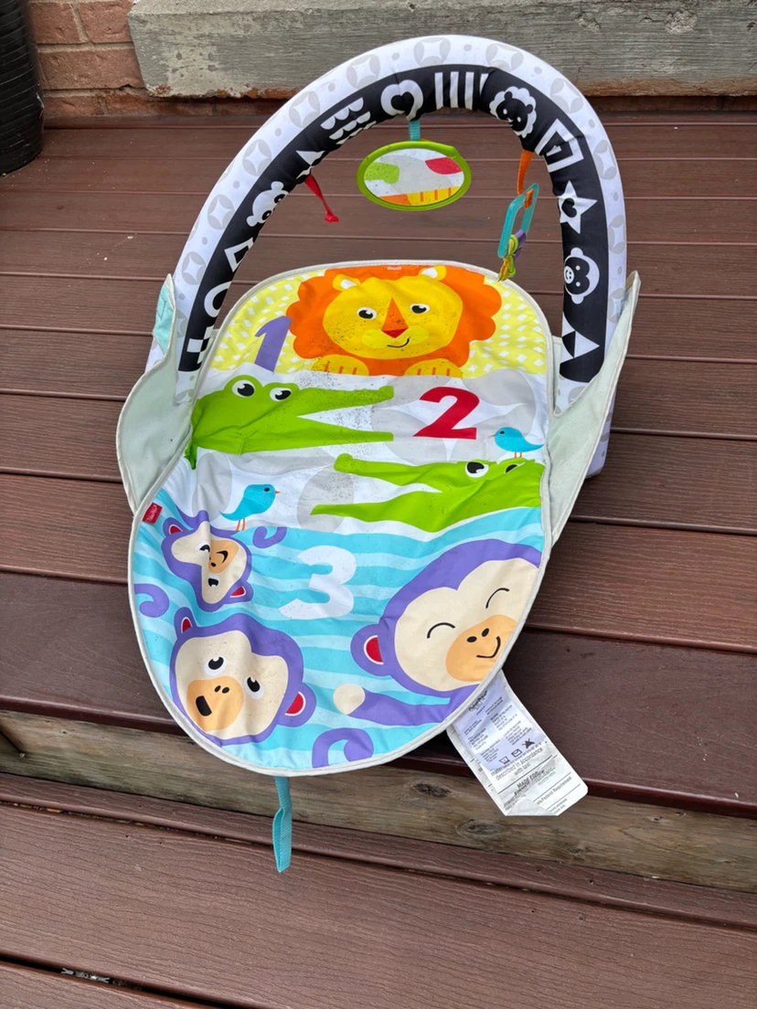 Fisher-Price Baby Play Mat with Arch