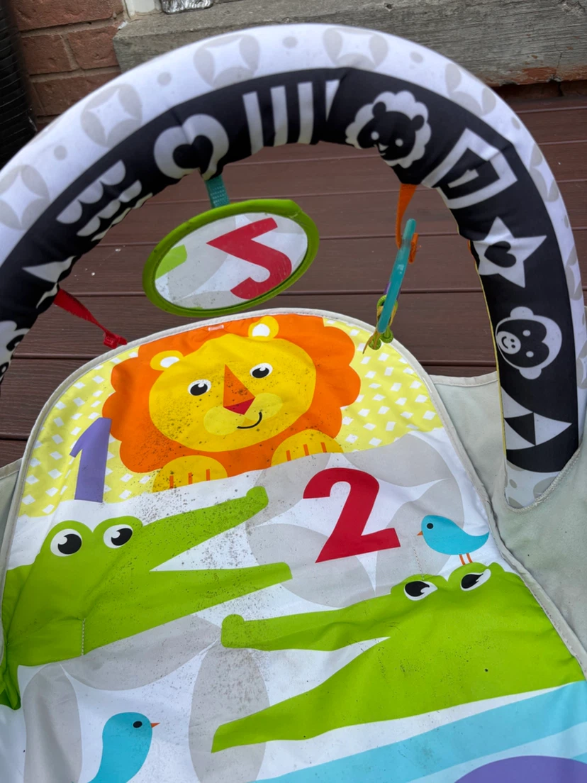 Fisher-Price Baby Play Mat with Arch - photo 3