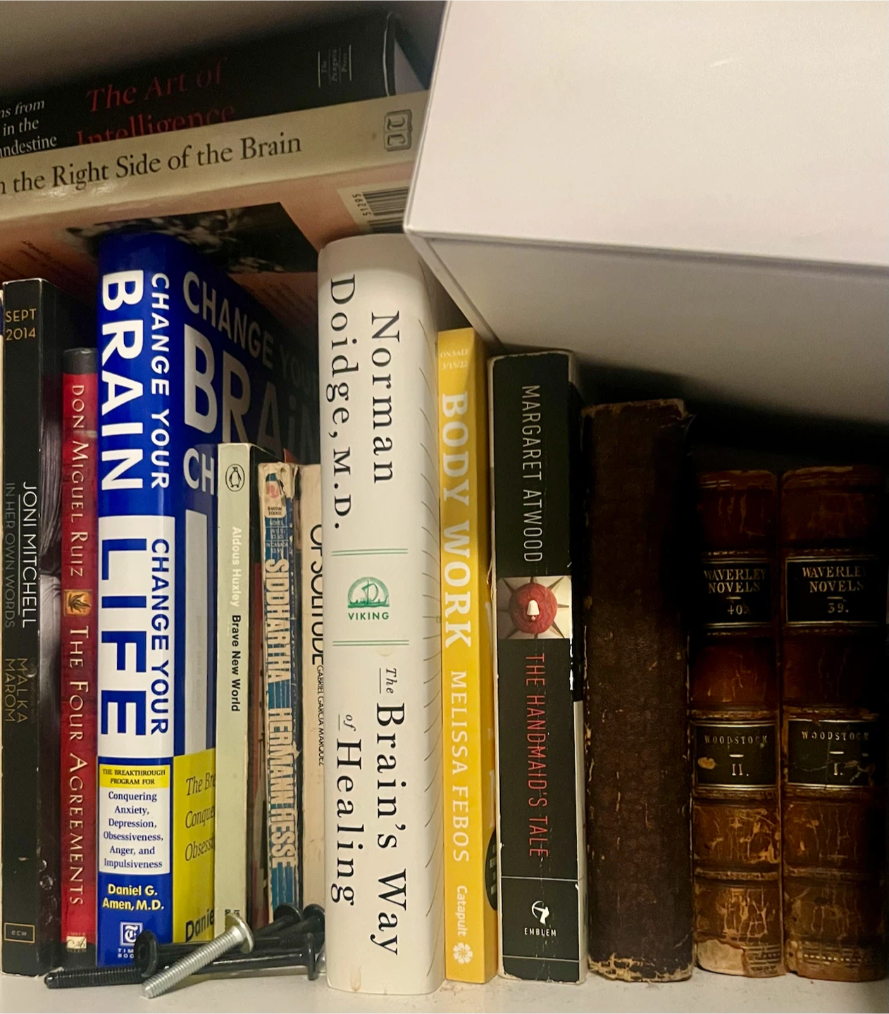 Hundreds of Books - photo 5