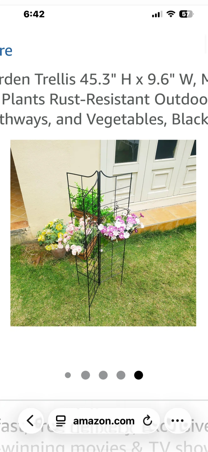 Garden Trellis